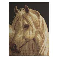 Wild Horse Stretched Wall Art Tapestry