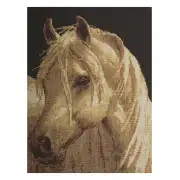 Wild Horse Stretched Wall Tapestry