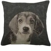 Puppy Dog Eyes II Couch Pillow
