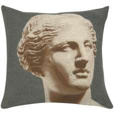 Venus Grey Decorative Tapestry Pillow