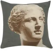 Venus Grey French Couch Pillow Cushion