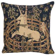 Captive Unicorn I European Cushion Cover
