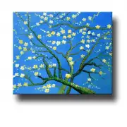 Almond Blossoms Canvas Wall Art