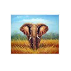African Elephant Canvas Art