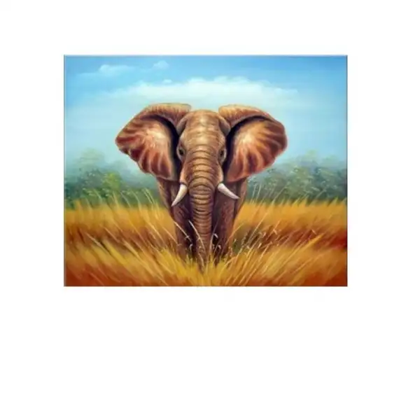 African Elephant Canvas Art