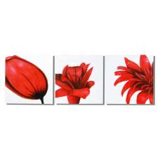 Red Flower Trilogy Canvas Art