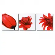 Red Flower Trilogy Canvas Art