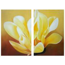 Sunlit Blossom Canvas Art