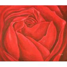 Red Rose Canvas Wall Art