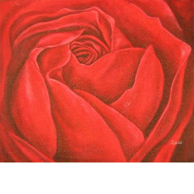 Red Rose Canvas Wall Art