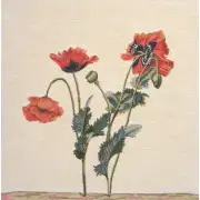 Oriental Poppies Belgian Cushion Cover