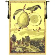 Lemon De Genova Belgian Tapestry