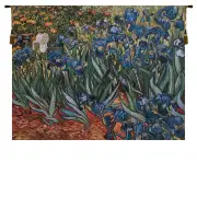 Irises in Garden