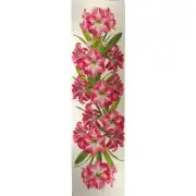Amaryllis White   French Table Mat