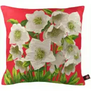 Helleborus Red  French Couch Cushion