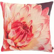 Close Up Pink Dahlias Purple Background French Couch Cushion
