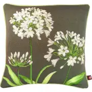 Agapanthus 3 Flowers Grey Cushion
