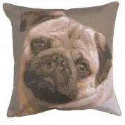 Pugs Face Grey Cushion - 19 in. x 19 in. Cotton by Charlotte Home Furnishings