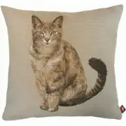Tabby Cat Sitting Light Grey  Cushion