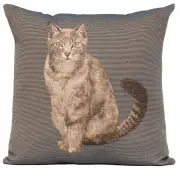 Tabby Cat Sitting Dark Grey Cushion