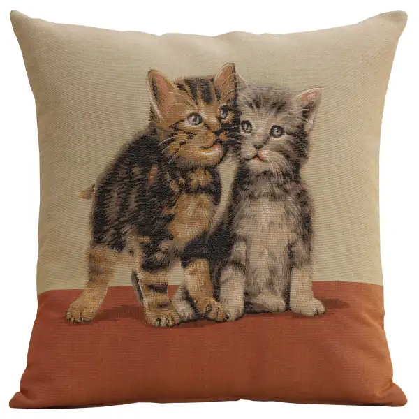 2 kittens 1 Cushion