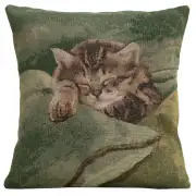 Sleeping Cat Green Cushion