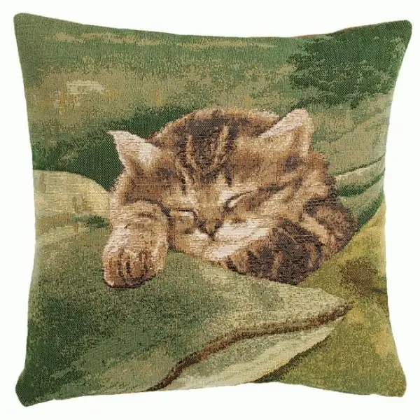 Sleeping Cat Green Cushion - 14 in. x 14 in. Cotton by Charlotte Home Furnishings