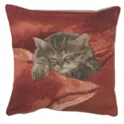 Sleeping Cat Red II Cushion - 14 in. x 14 in. Cotton by Charlotte Home Furnishings
