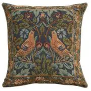 Brother Bird Cushion