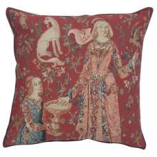 Licorne Gout Decorative Couch Pillow Cover