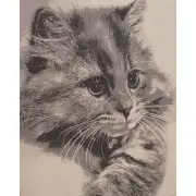 Mister Whiskers  Wall Tapestry Stretched