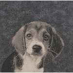 Puppy Dog Eyes Stretched Wall Tapestry