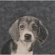 Puppy Dog Eyes  Wall Tapestry Stretched