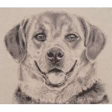 Happy Canine Stretched Wall Tapestry