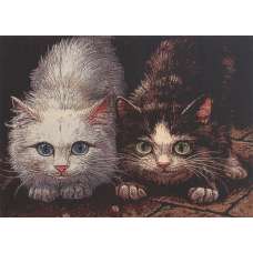 Pounce Stretched Wall Tapestry