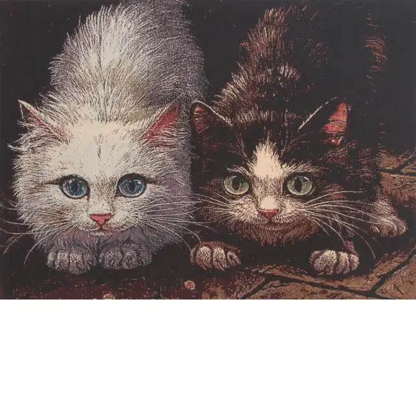 Pounce  Wall Tapestry Stretched