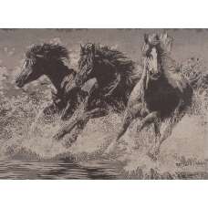 Team Splash Stretched Wall Tapestry