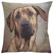 Soft Eyes II Couch Pillow - 16 in. x 16 in. Cotton/Viscose/Polyester by Alessia Cara